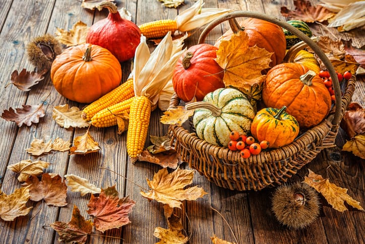 Goodwill AZ | Fall leaves and pumpkins in a basket