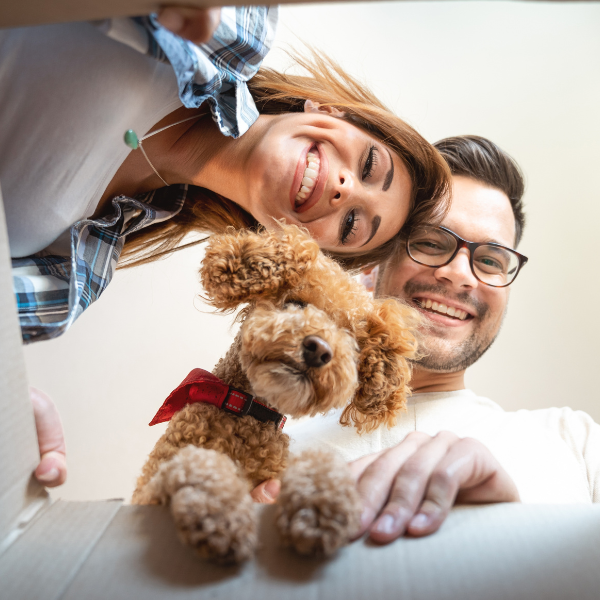 Two people and a dog looking into a box